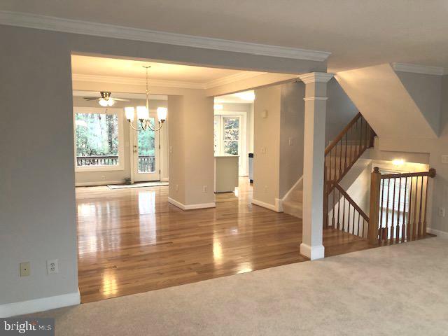 POTOMAC TERRACE - Residential Lease