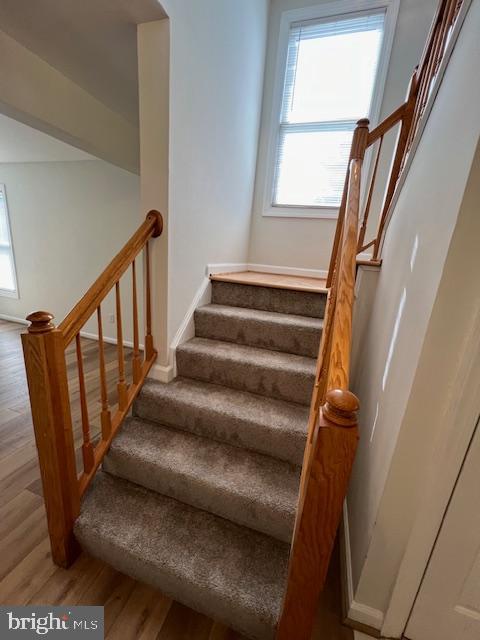 POTOMAC TERRACE - Residential Lease