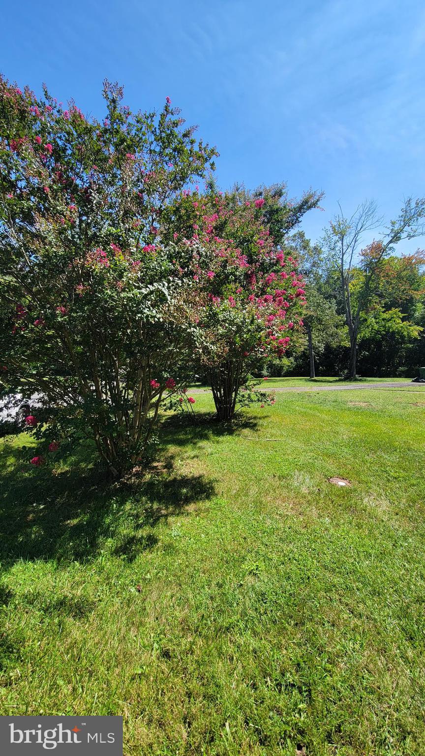 PINN SD - Residential Lease