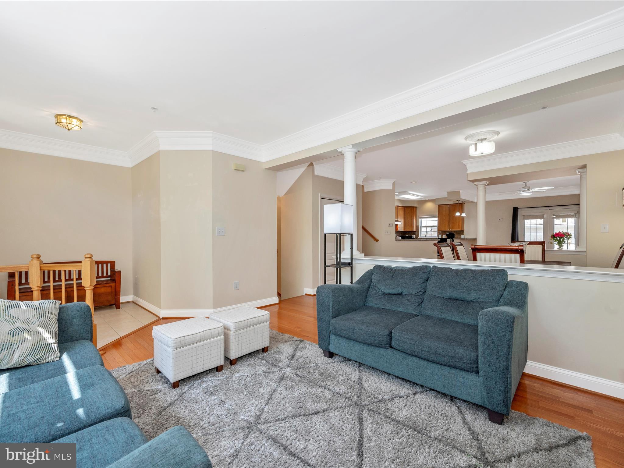 CLARKSBURG TOWN CENTER - Residential