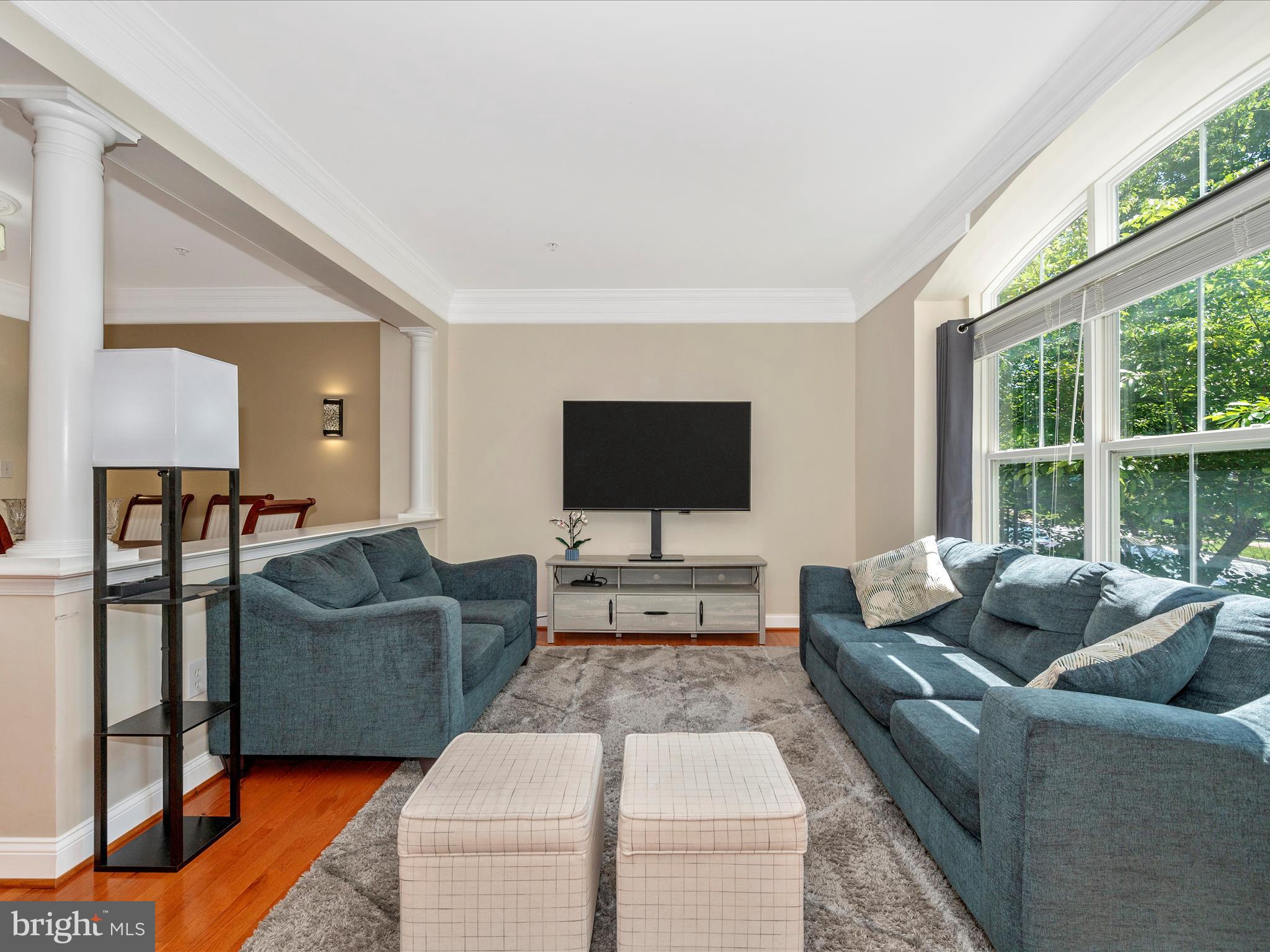 CLARKSBURG TOWN CENTER - Residential