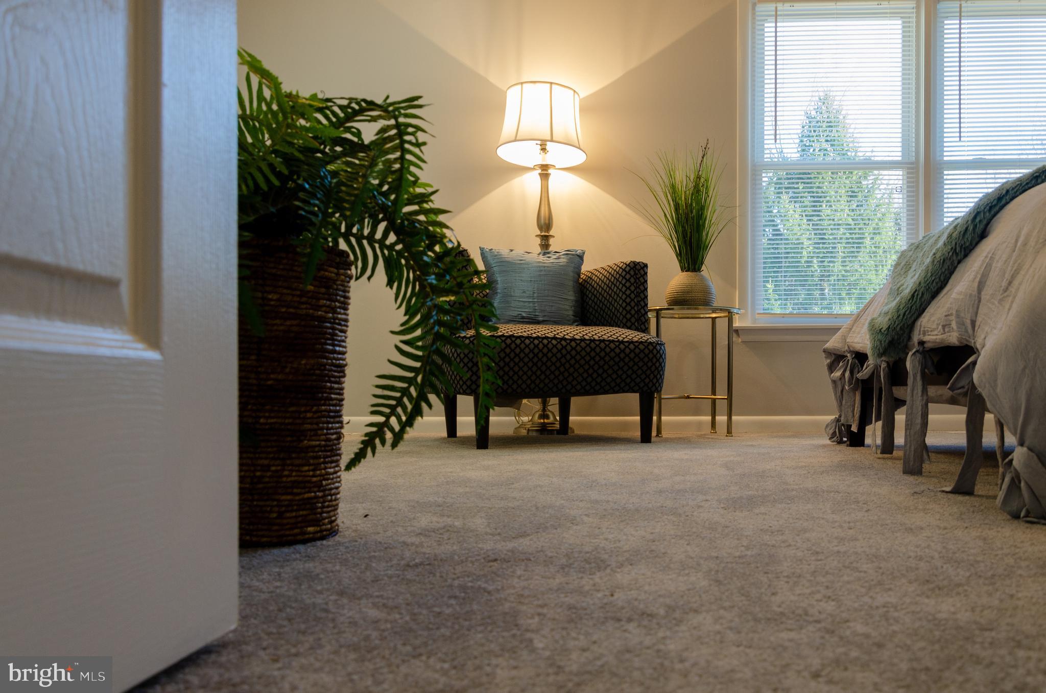 CONSTANT FRIENDSHIP - Residential