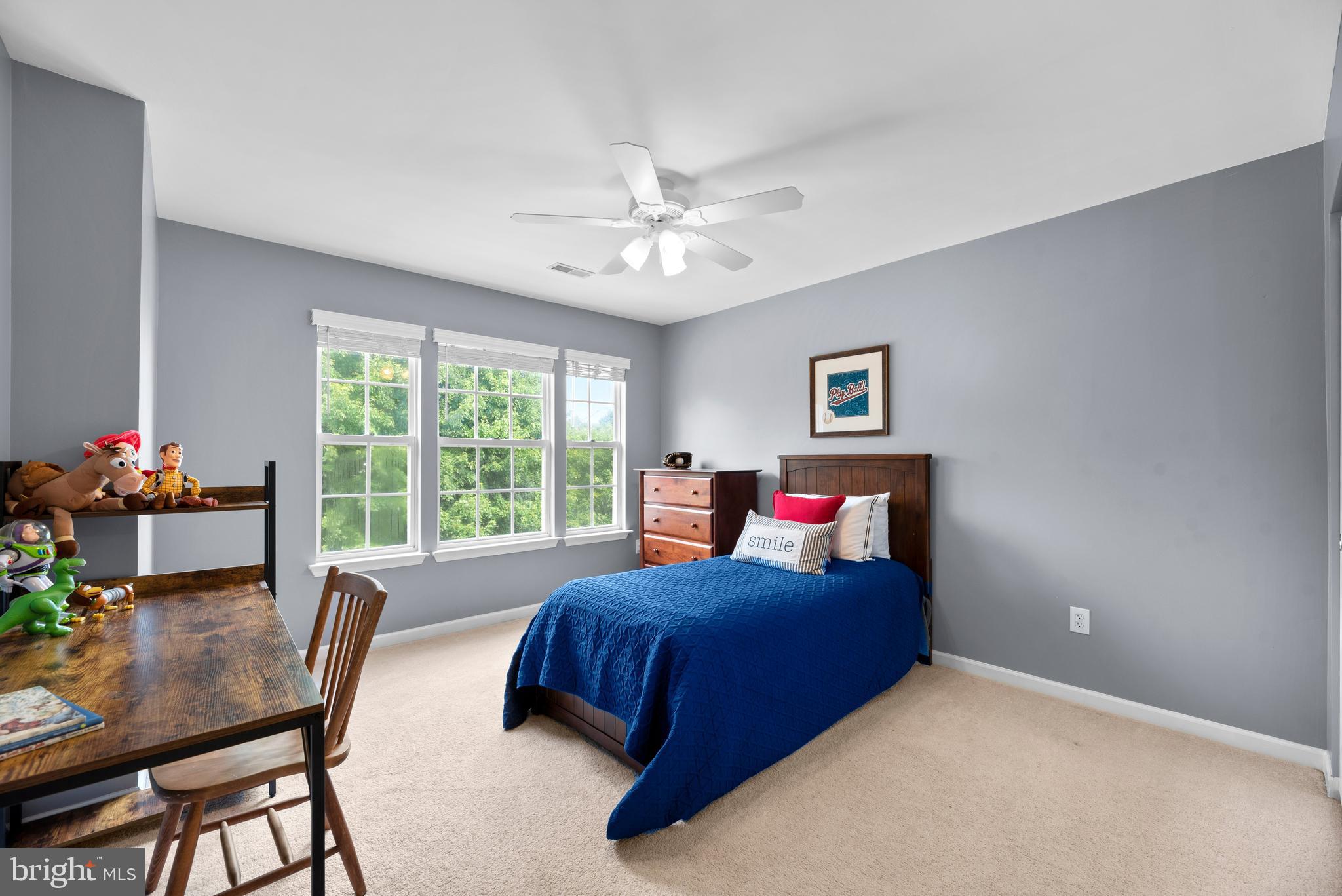 DANIEL'S MILL OVERLOOK - Residential