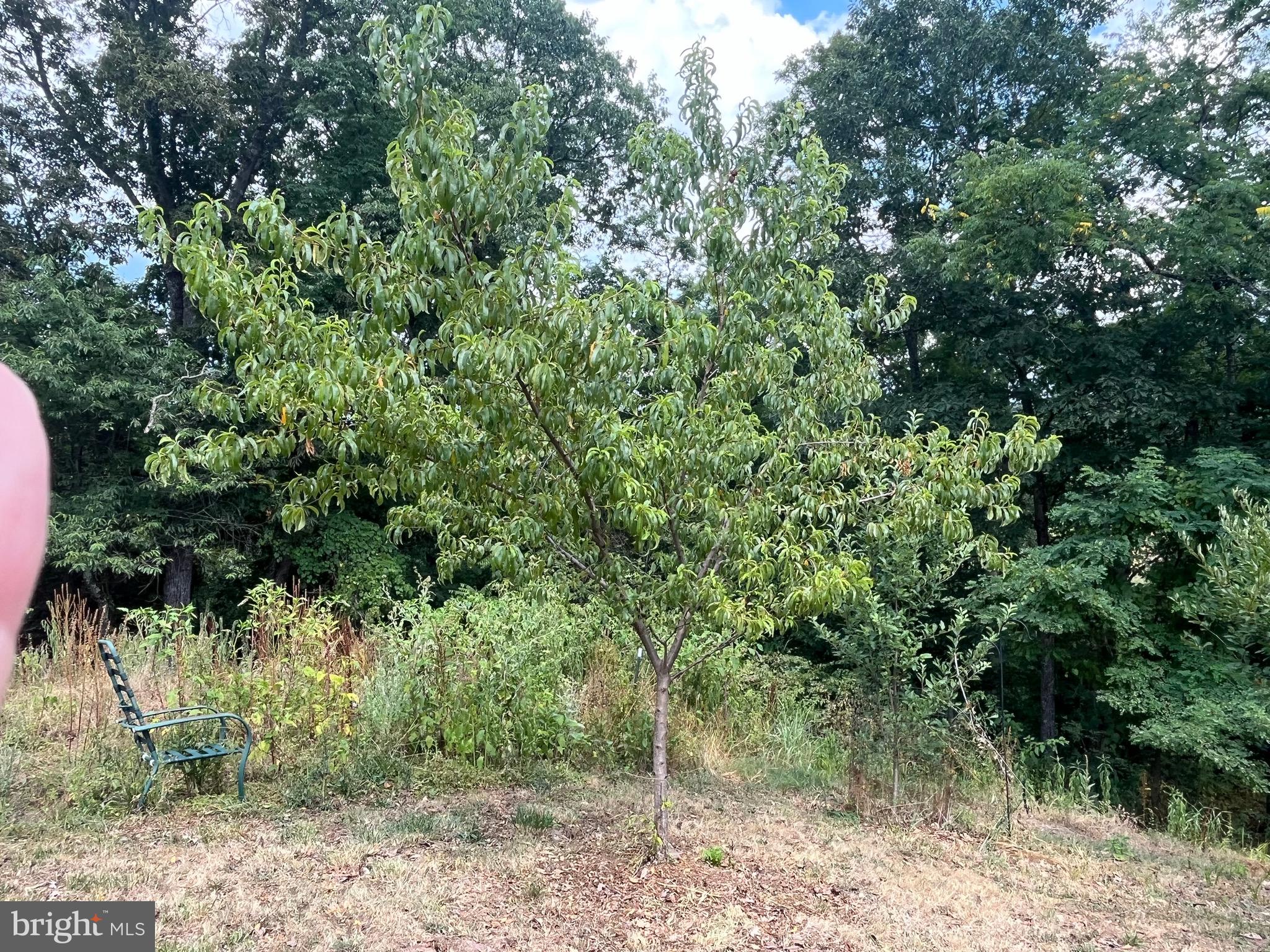 POTOMAC HIGHLAND FARM - Residential