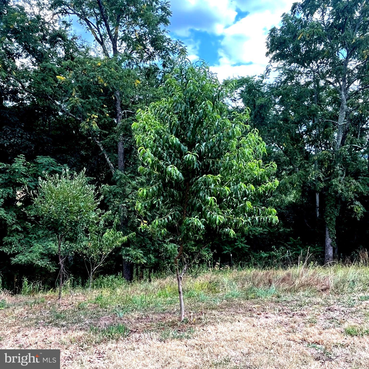 POTOMAC HIGHLAND FARM - Residential