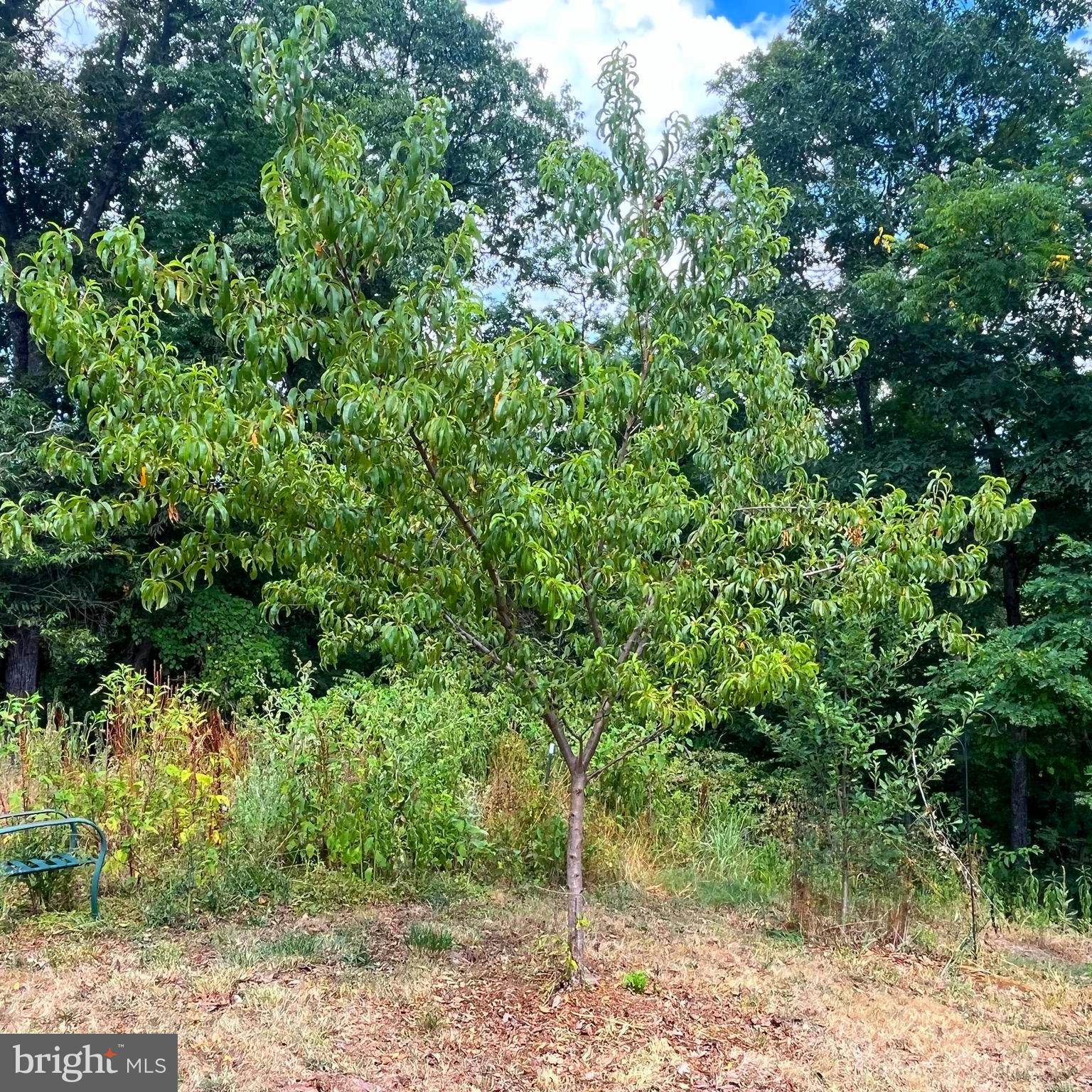 POTOMAC HIGHLAND FARM - Residential