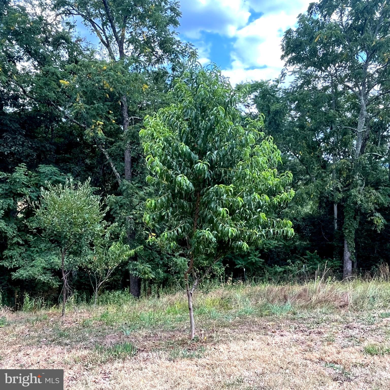 POTOMAC HIGHLAND FARM - Residential