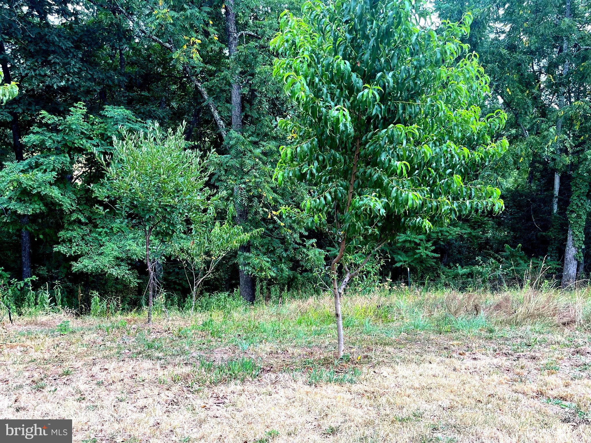 POTOMAC HIGHLAND FARM - Residential