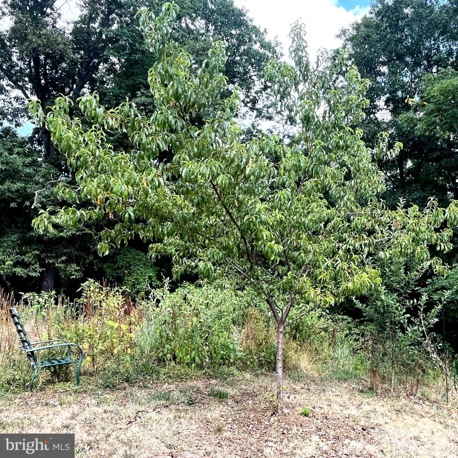 POTOMAC HIGHLAND FARM - Residential