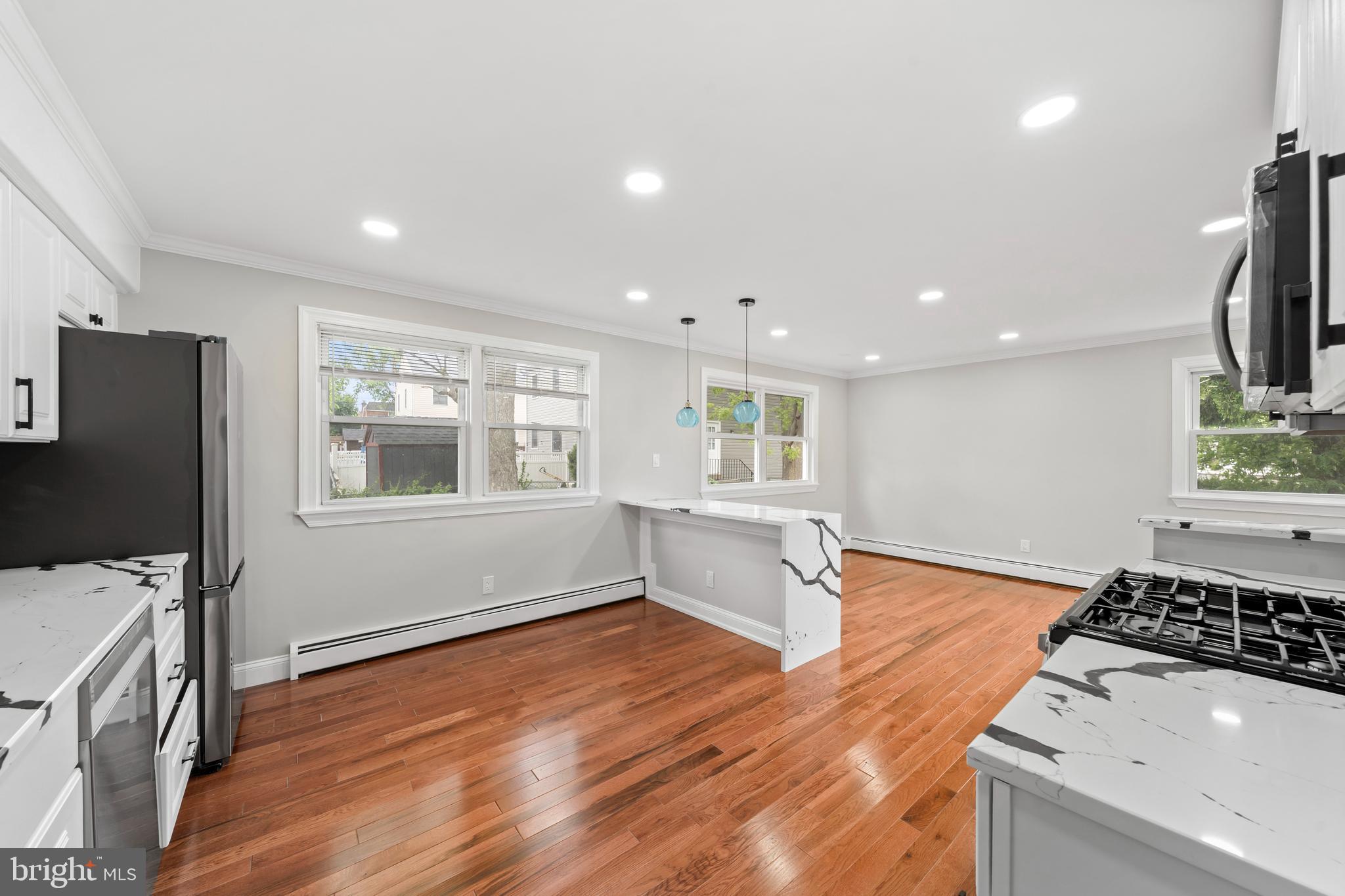 RIDLEY PARK - Residential