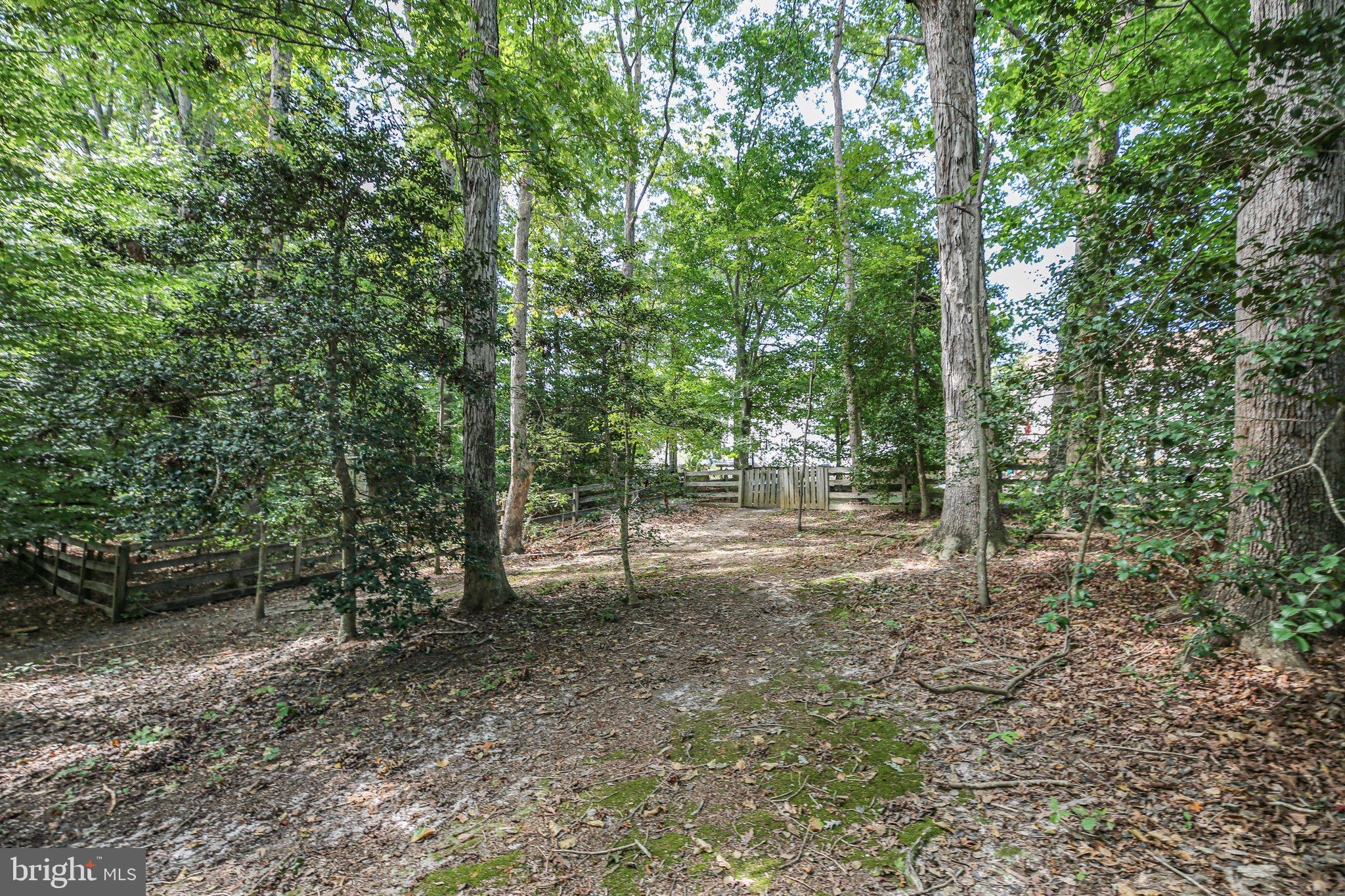 LITTLE FALLS VILLAGE - Residential