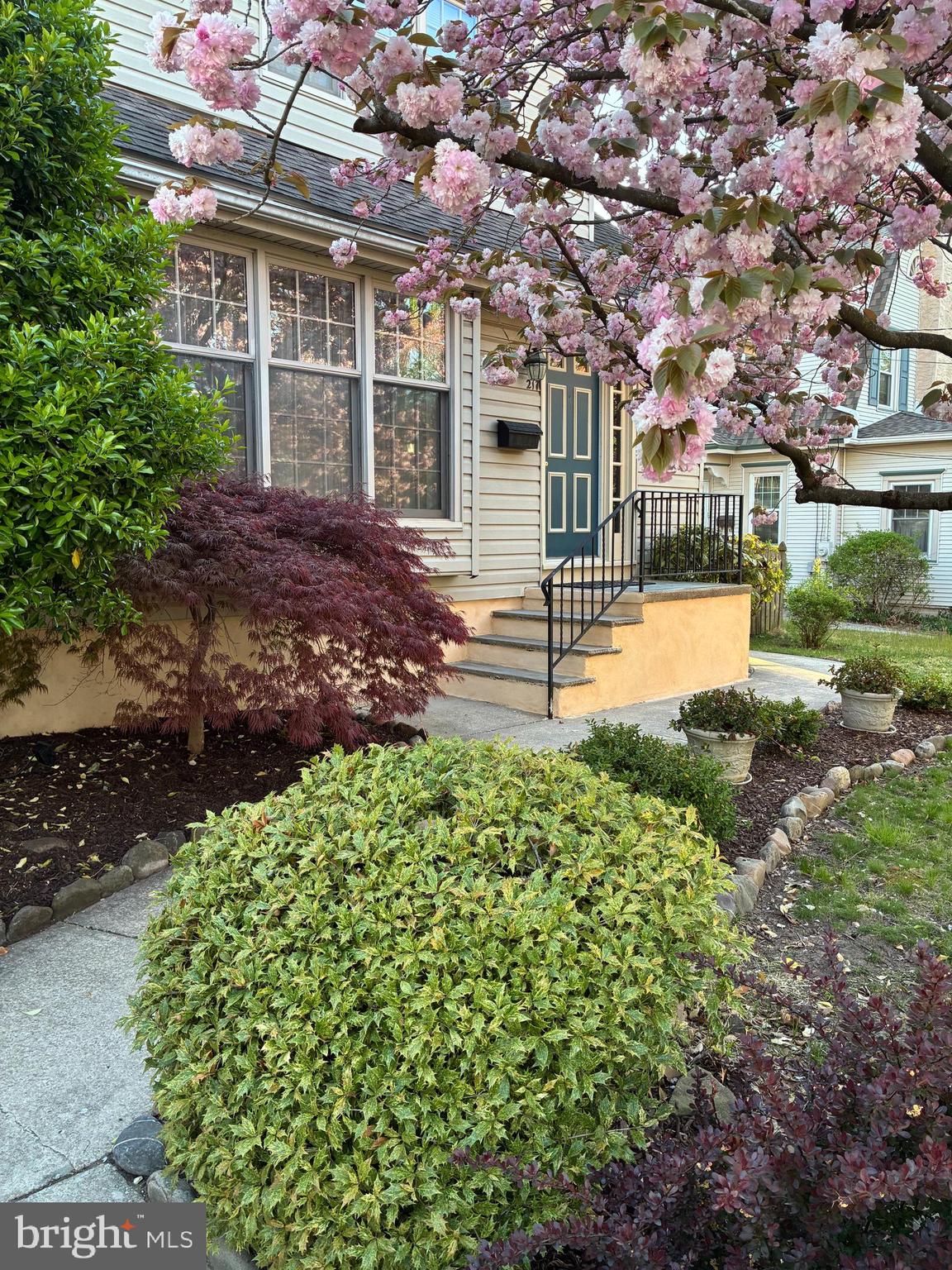 217 BURRWOOD AVENUE
