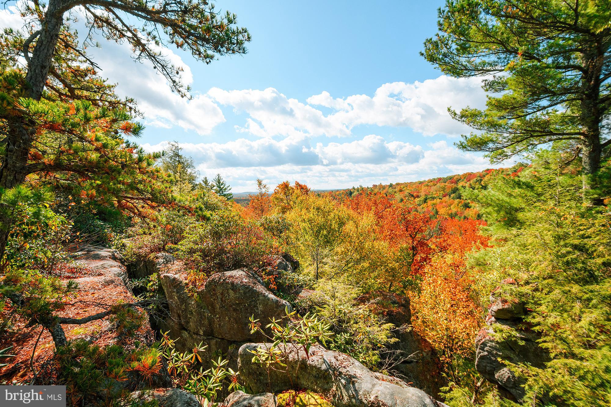 PINEY MOUNTAIN CORP - Residential