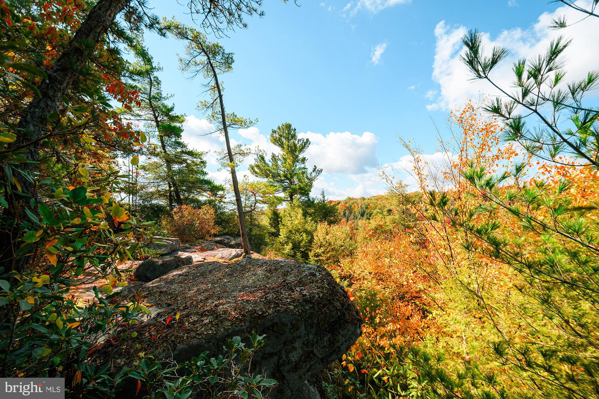 PINEY MOUNTAIN CORP - Residential