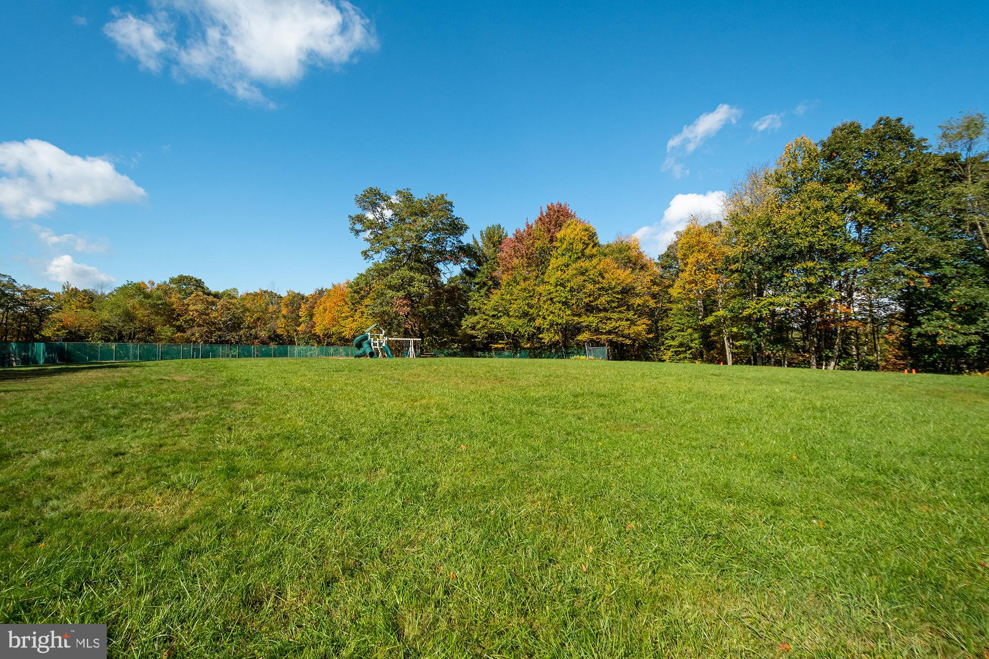 PINEY MOUNTAIN CORP - Residential