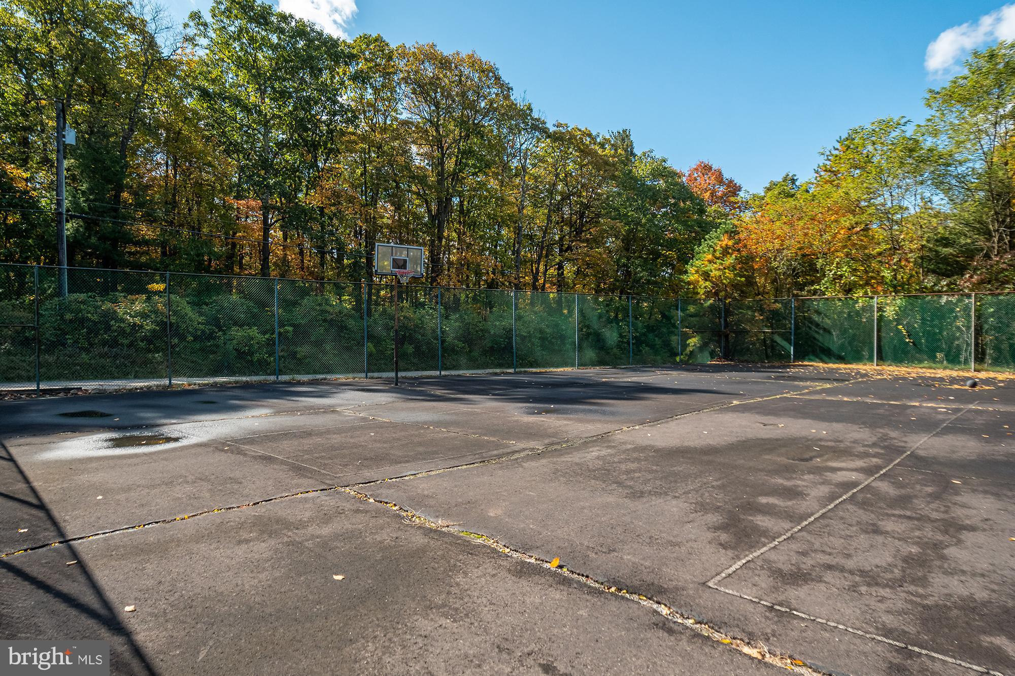 PINEY MOUNTAIN CORP - Residential