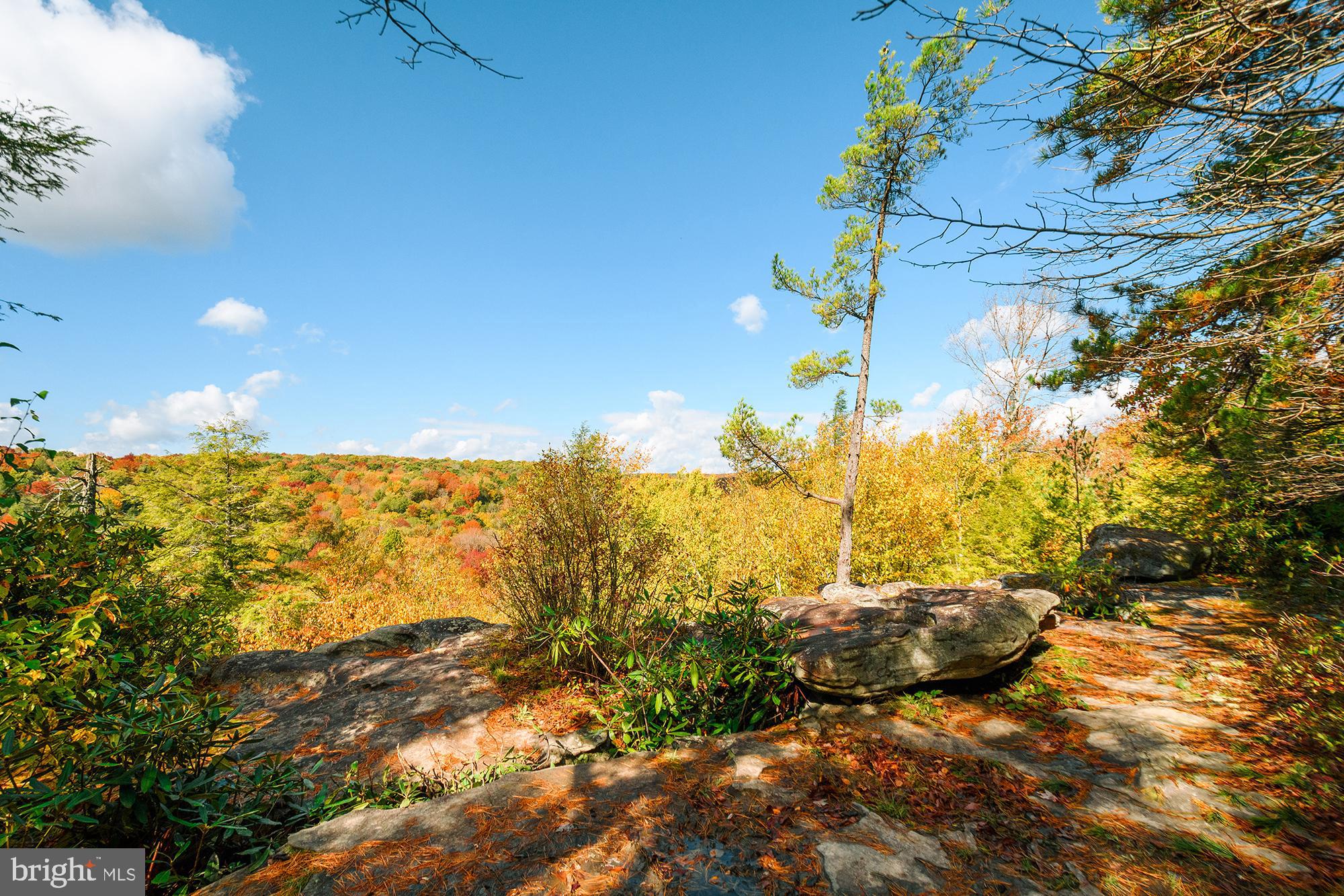 PINEY MOUNTAIN CORP - Residential