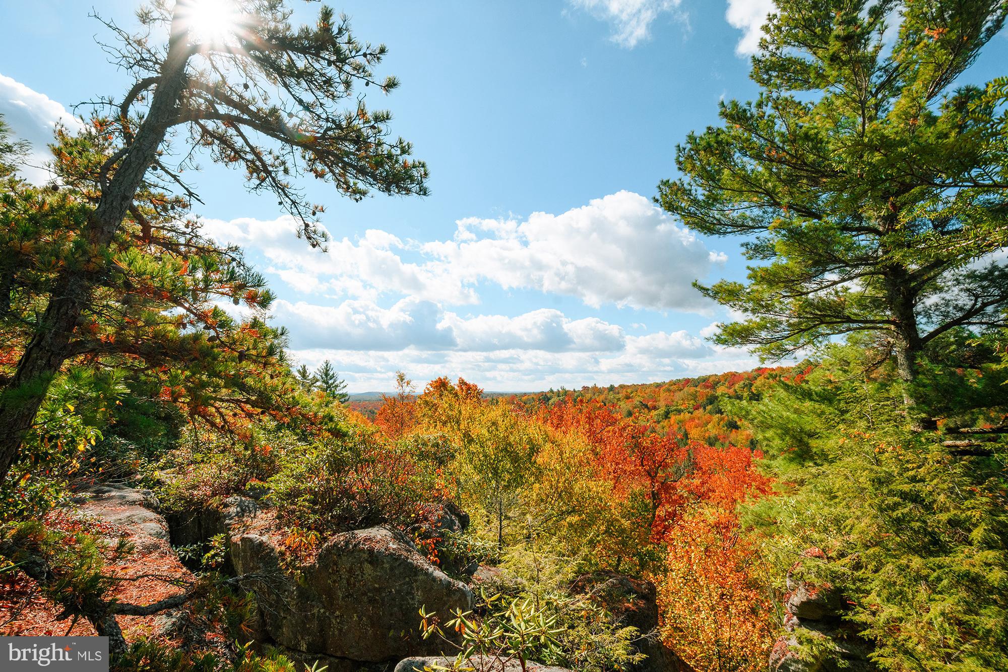 PINEY MOUNTAIN CORP - Residential