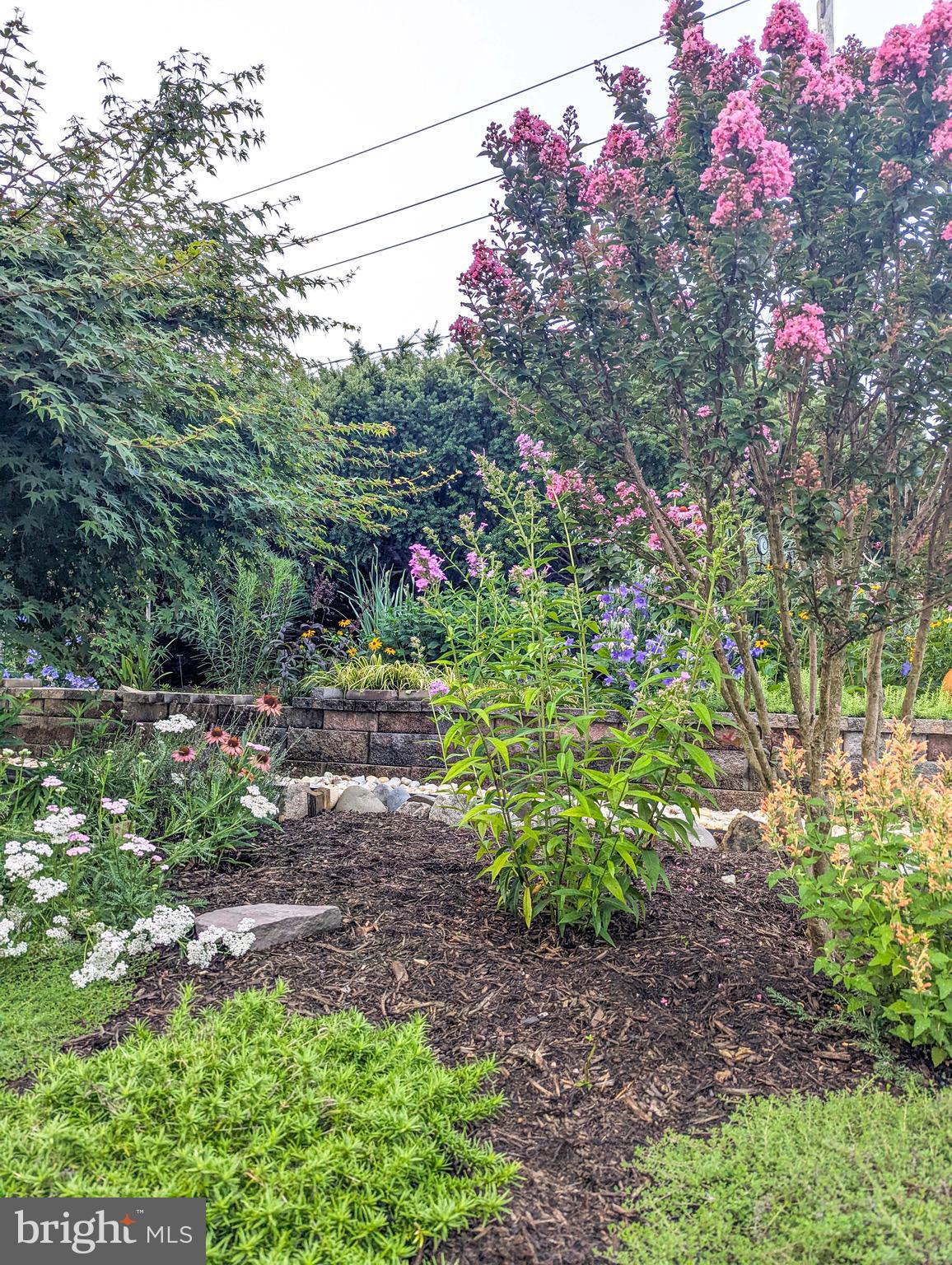 DEACONS WALK - Residential