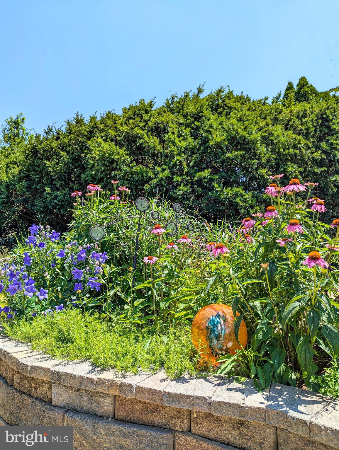 DEACONS WALK - Residential