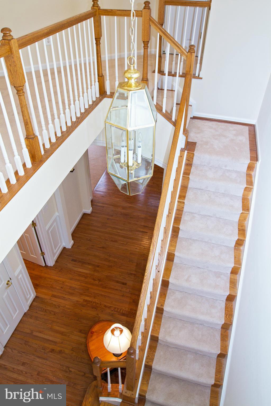 BRAEMAR - Residential Lease