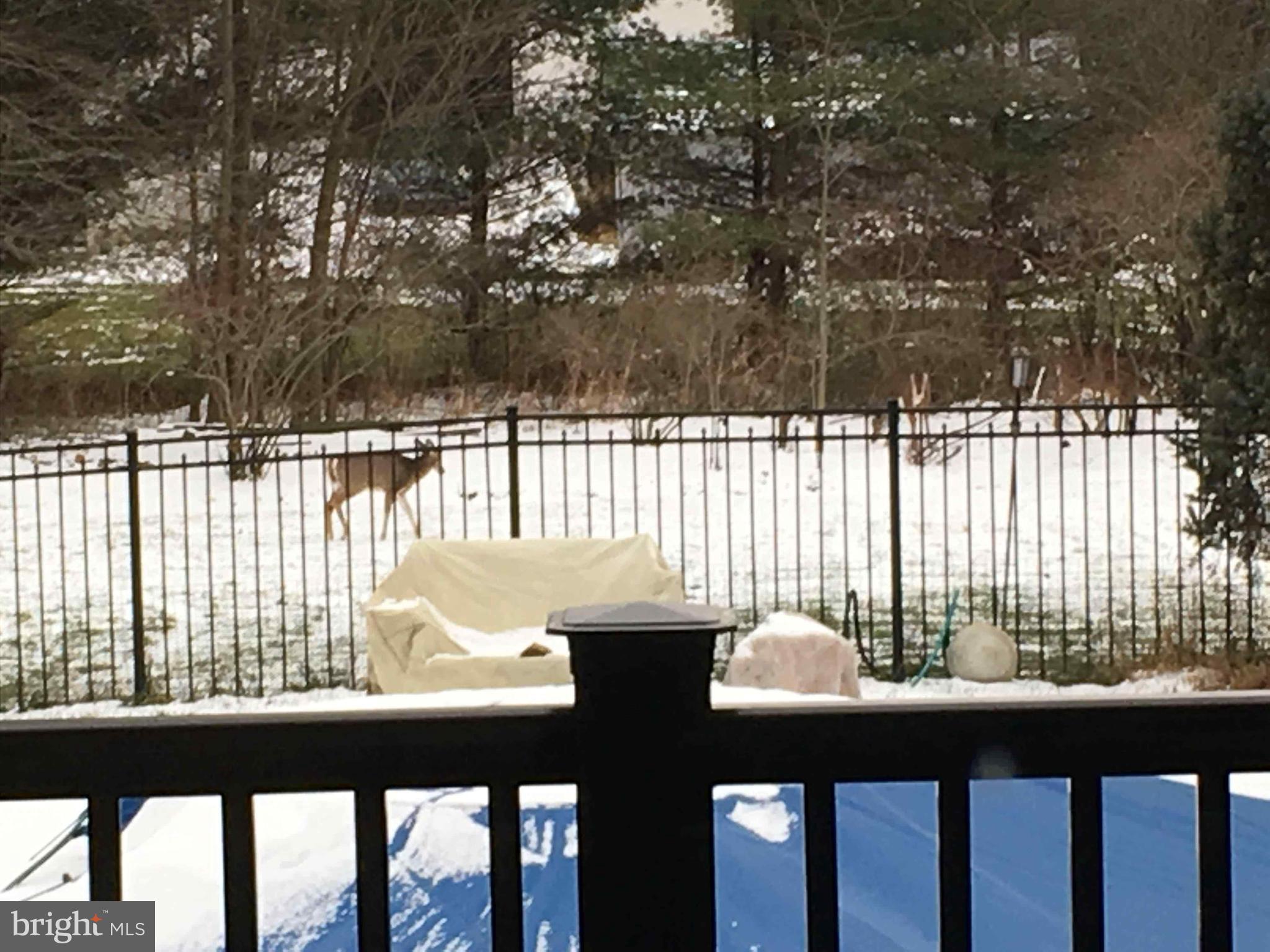 FOX HUNT ESTS - Residential