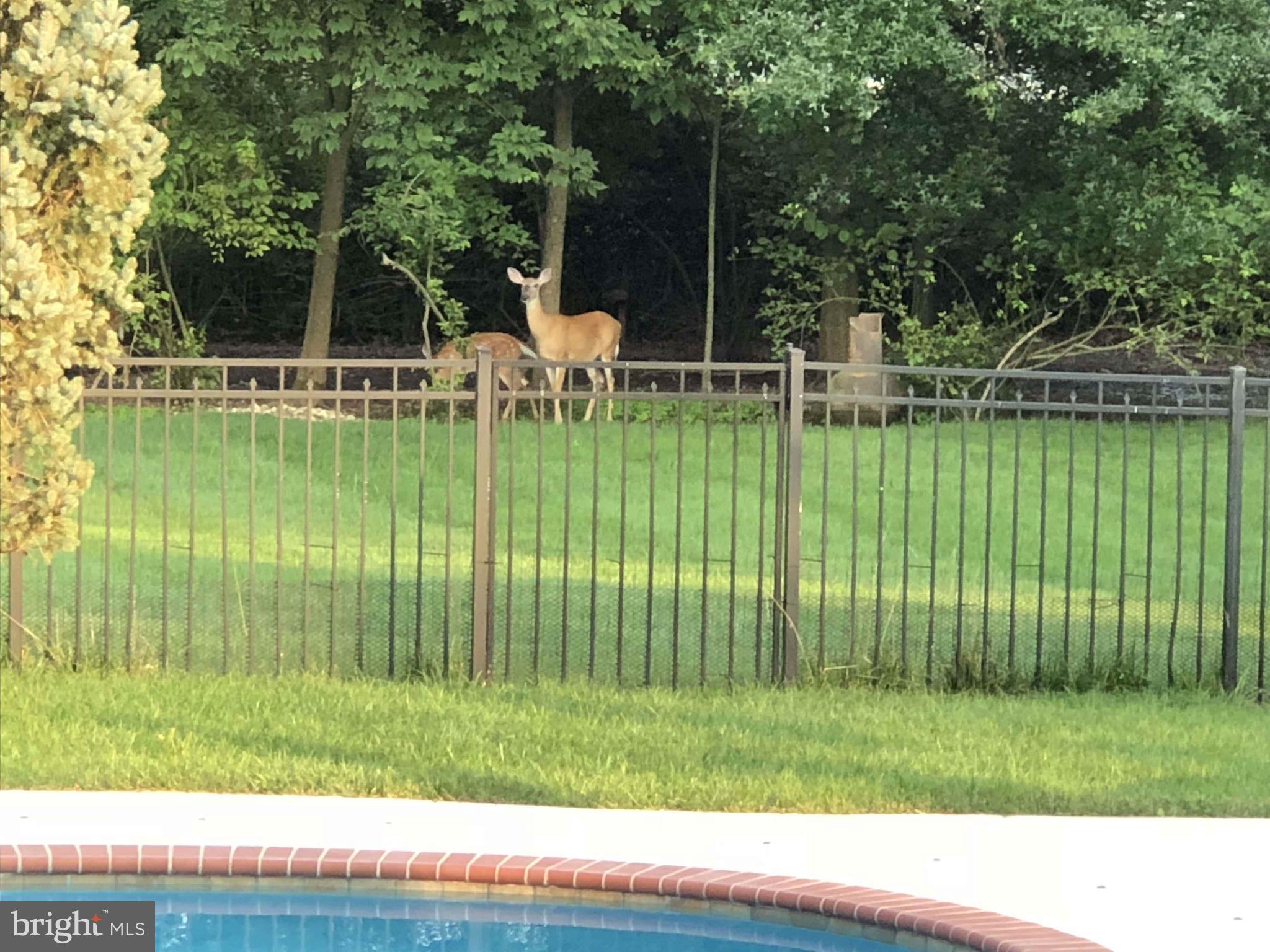 FOX HUNT ESTS - Residential