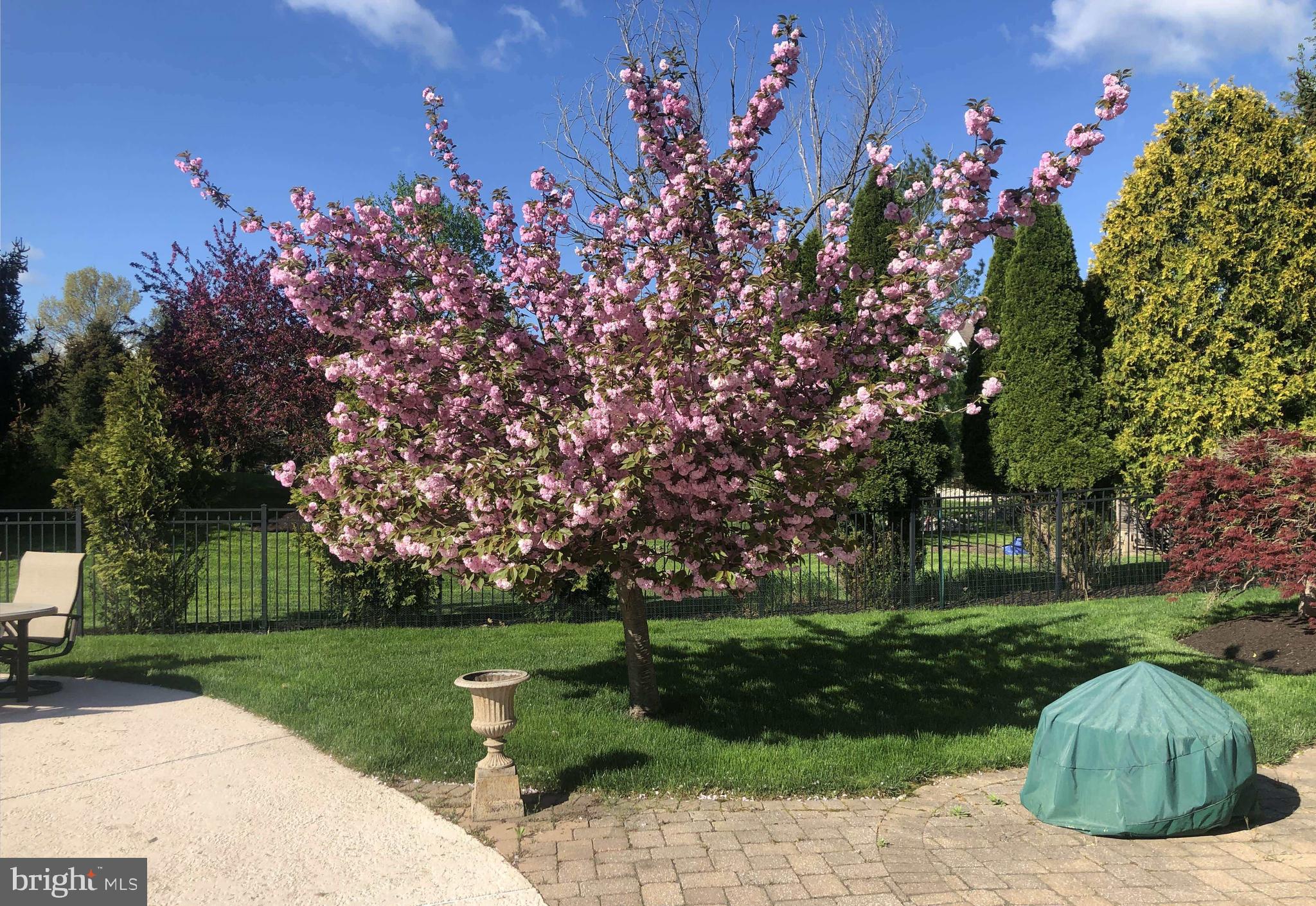 FOX HUNT ESTS - Residential