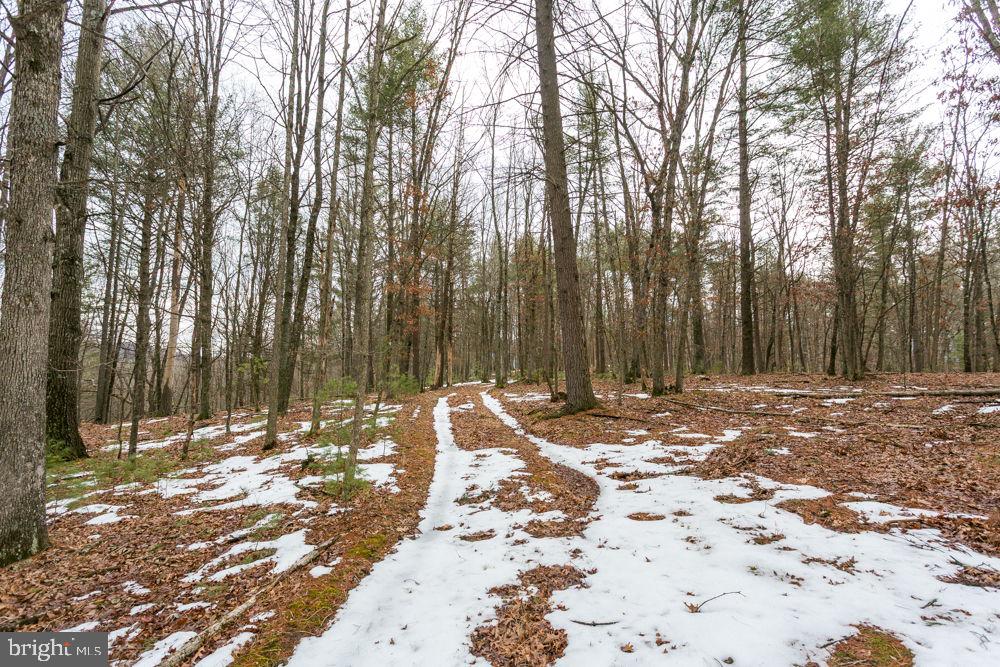 Lot 44 RAINBOW RIDGE ROAD