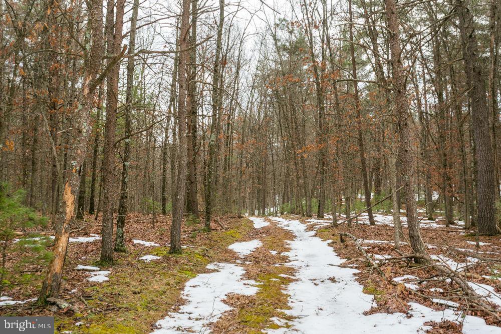 Lot 44 RAINBOW RIDGE ROAD