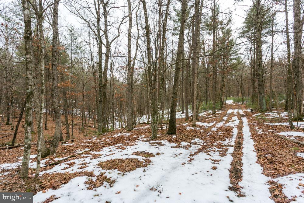 Lot 44 RAINBOW RIDGE ROAD