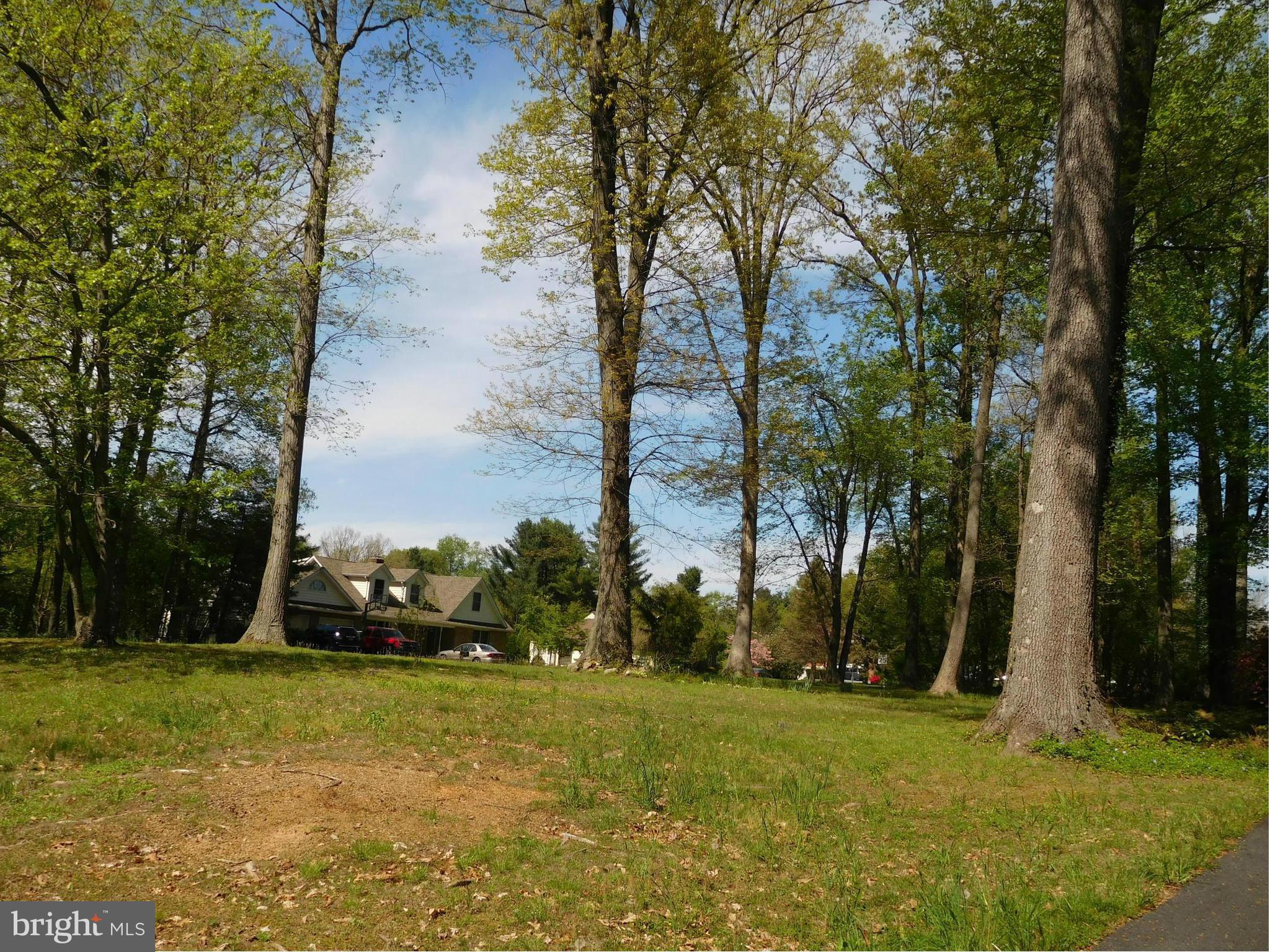 BRANDYWINE FARMS - Residential