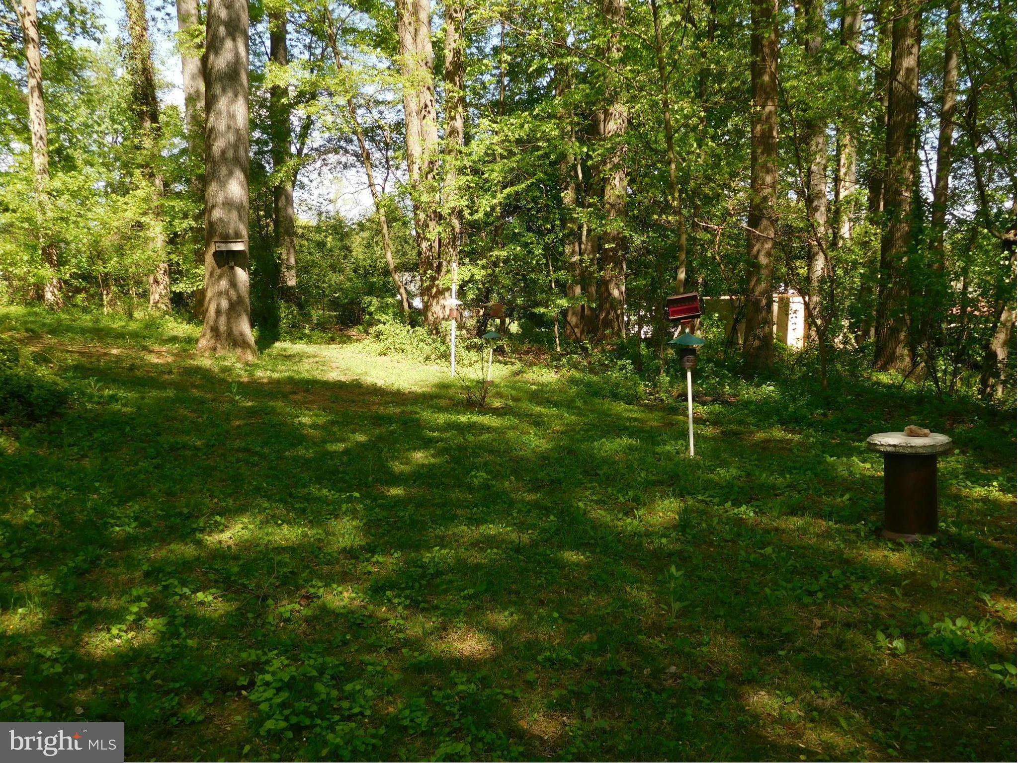 BRANDYWINE FARMS - Residential