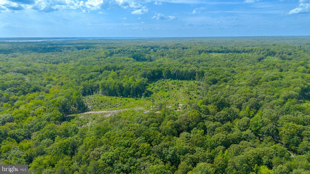 10201 SOLOMONS ISLAND ROAD