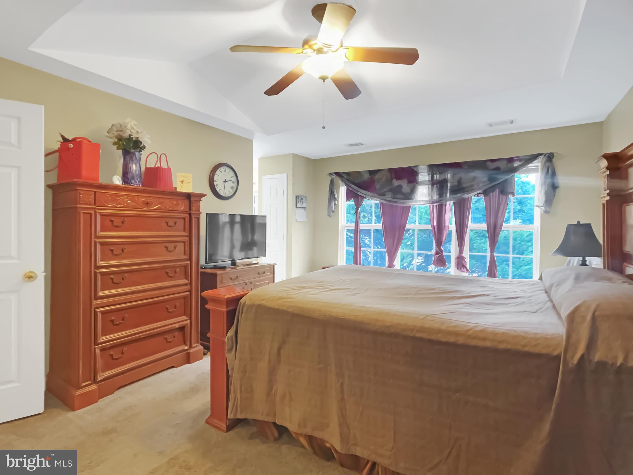 CHESTNUT HILLS - Residential