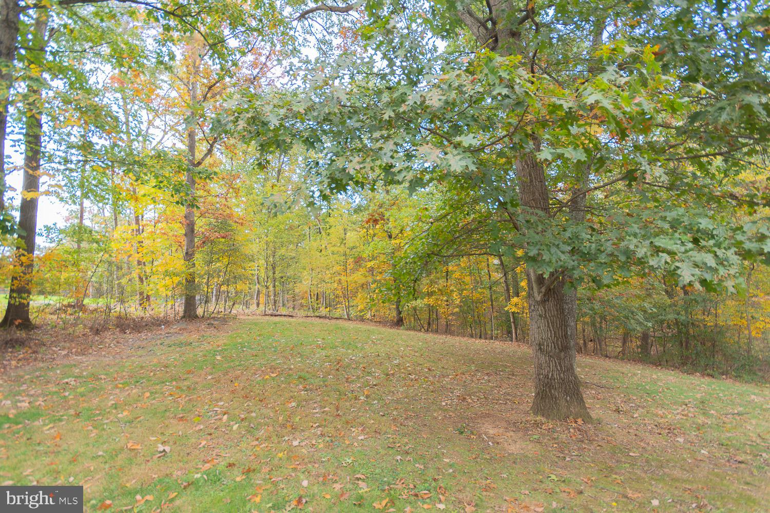 MARLOWE WOODS - Residential