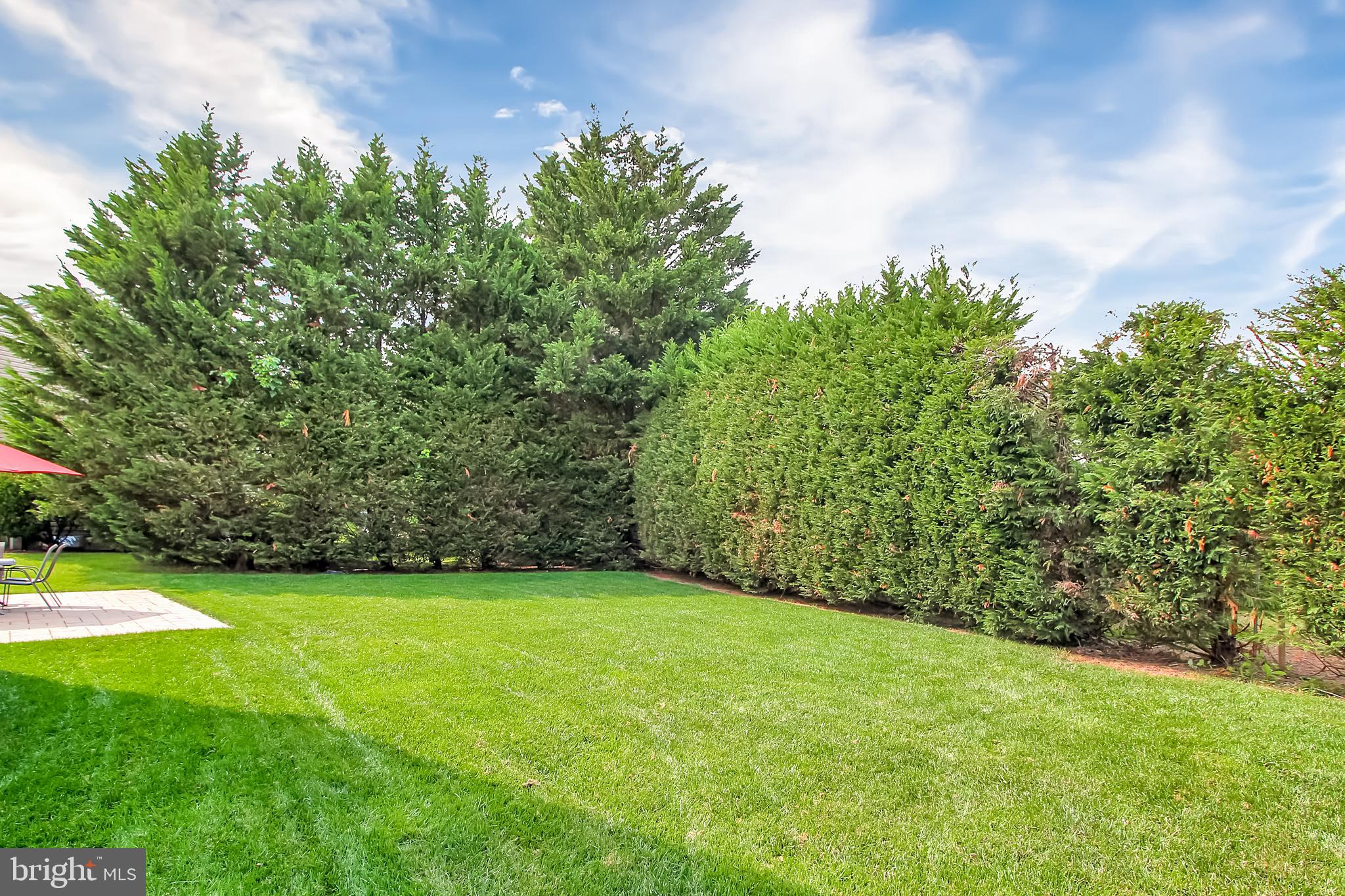 NORTH FOREST - Residential