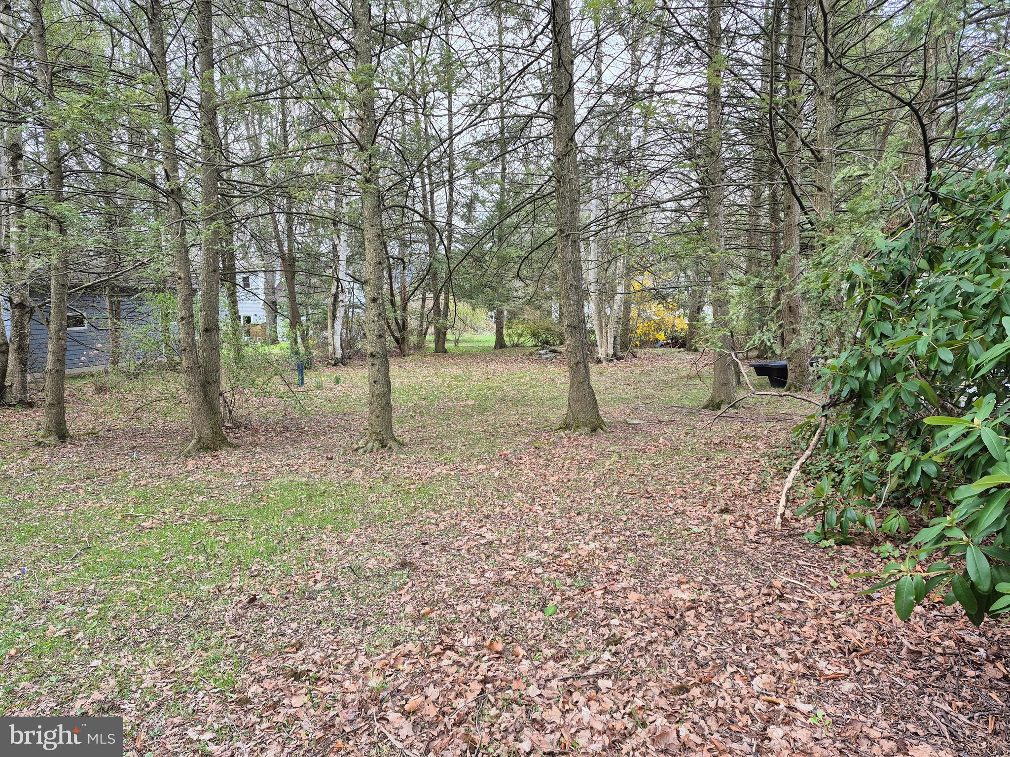 STATE COLLEGE BORO - Residential