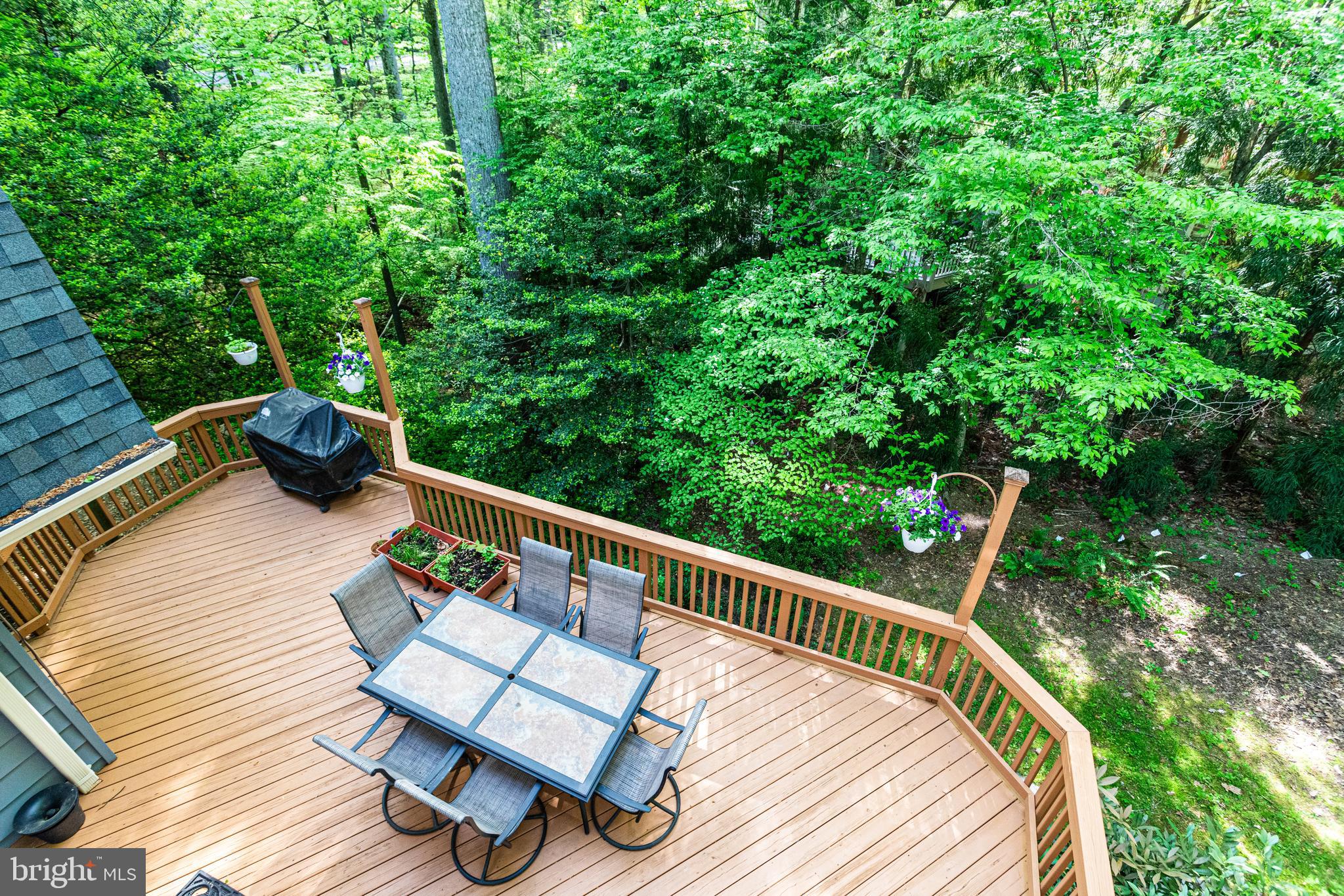 CINNAMON RIDGE - Residential