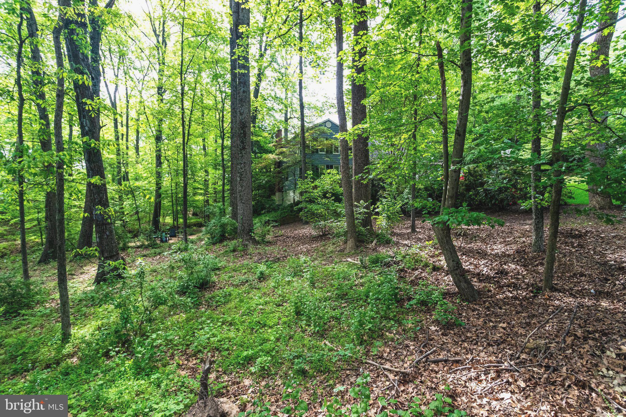 CINNAMON RIDGE - Residential