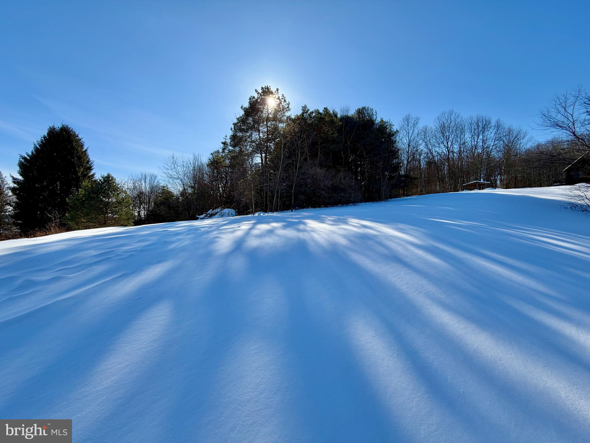 Lot 67 RIDGEWOOD DRIVE