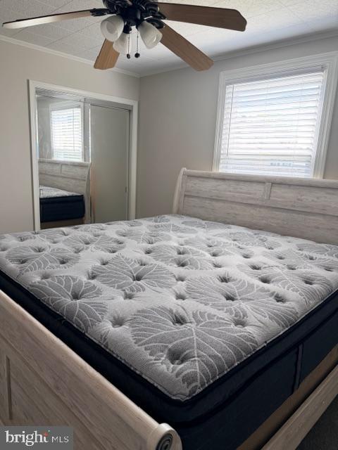 MURRAY POINT - Residential