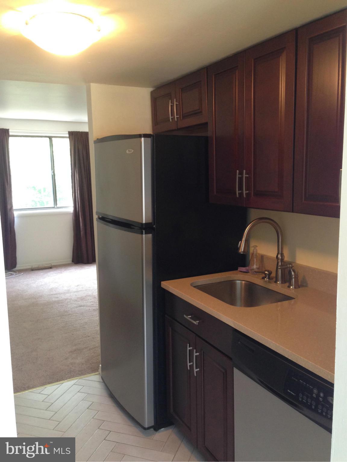 VILLAGE OF OWEN BROWN - Residential Lease