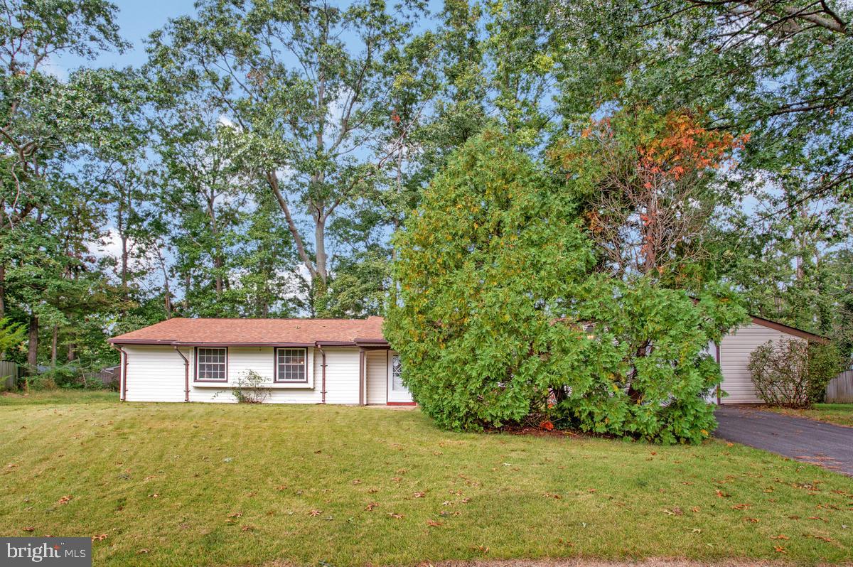 3905 BREWSTER COURT