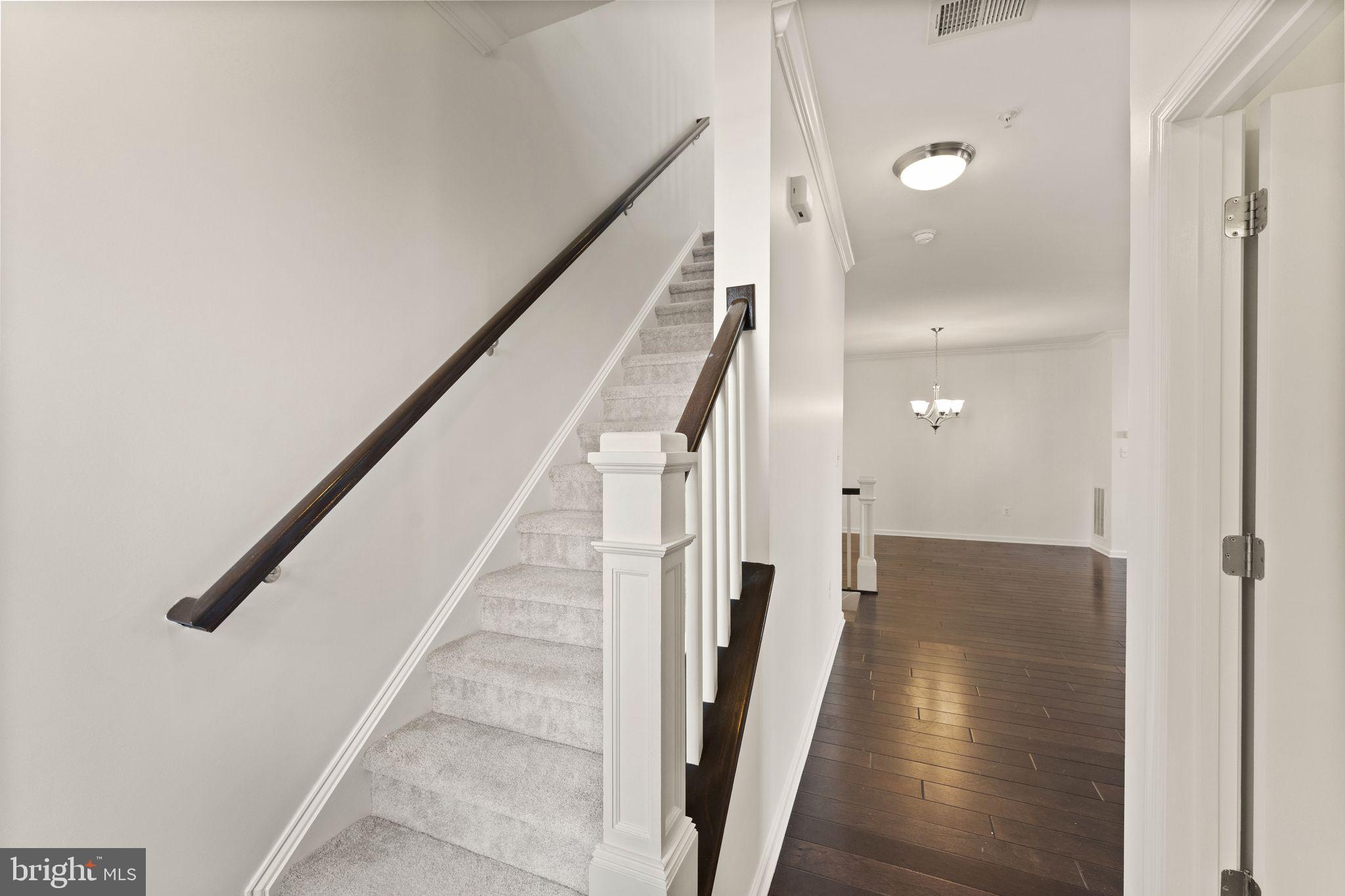 RIDGES AT LOUDOUN VALLEY - Residential