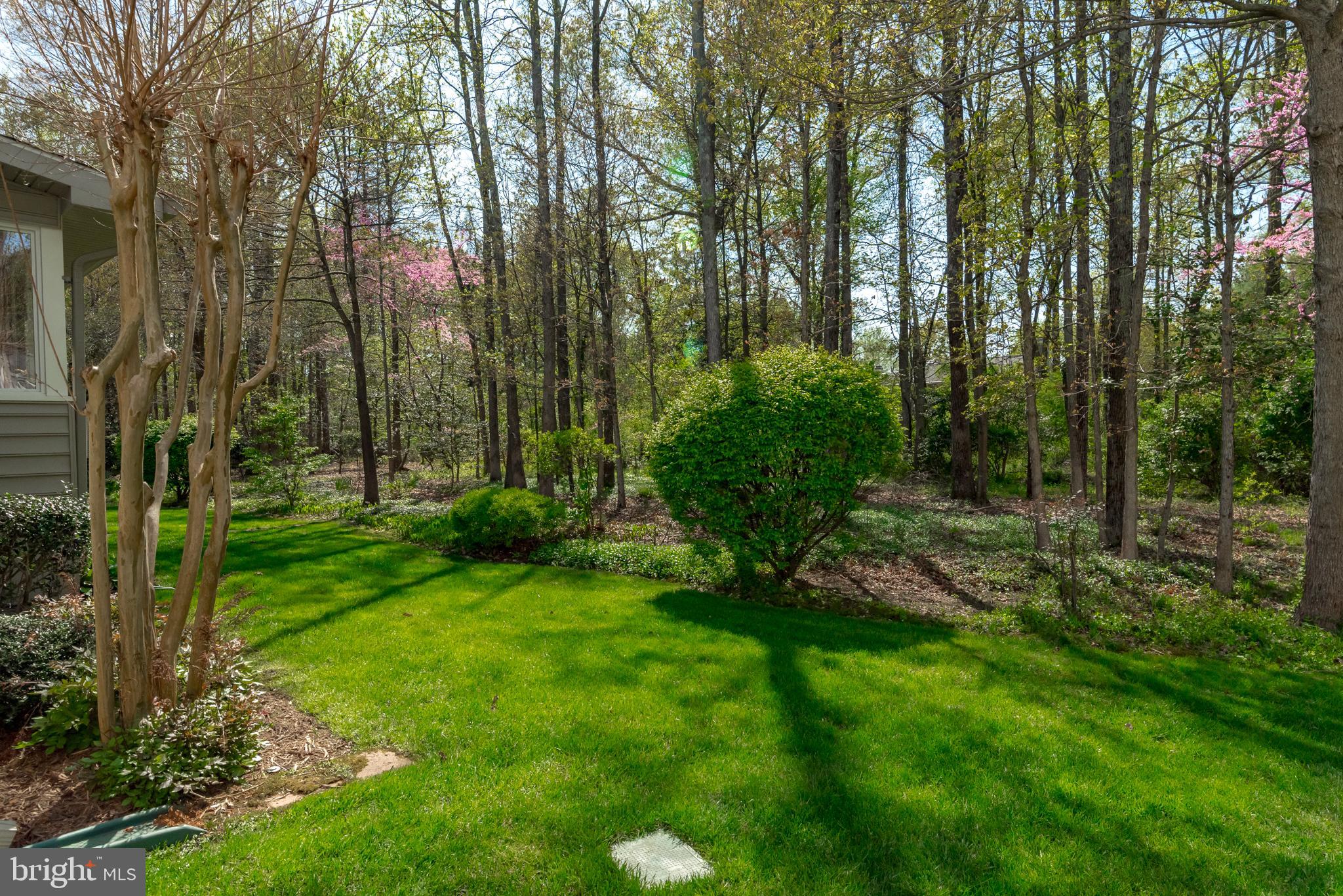 HARNESS CREEK OVERLOOK - Residential