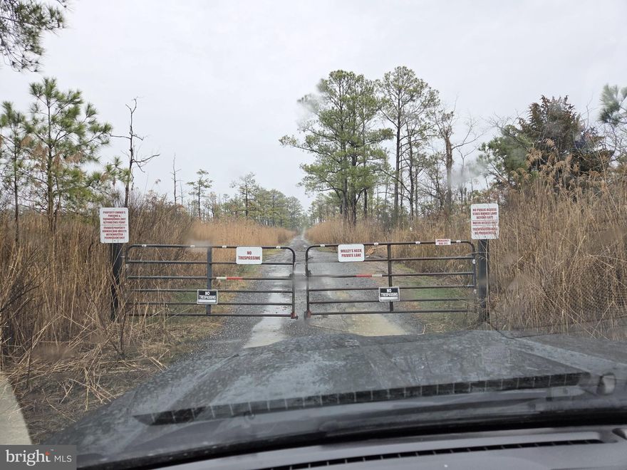 Looking for your own Sika Deer Hunting getaway, here it is! Estimated to be 2+/- acres, this parcel is wooded and loaded with trails. Great location, located on private gated road. Buyer due diligence on acreage. 

Two additional larger parcels are being sold separately to combine great duck / waterfowl & Sika deer hunting - accessible by boat only:  Land _MLS# MDDO2009346 (104.35+/- Acres) and Land - MLS # MDDO2009344 (50.75+/-Acres) - each of these parcels are being sold separately.