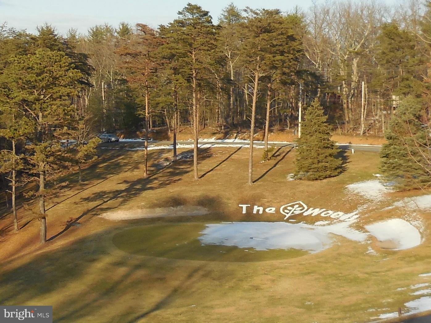 THE WOODS - Residential