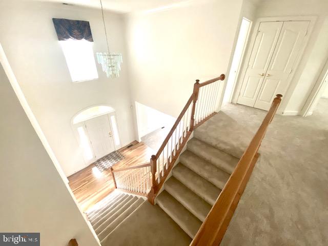 FARMINGTON VILLAGE - Residential