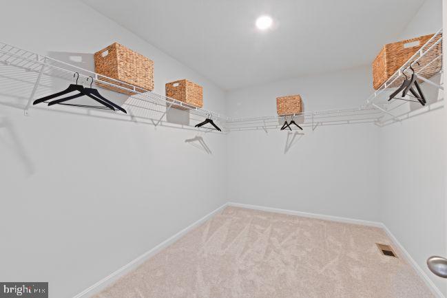 TROVINGER MILL ESTATES - Residential